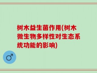 树木益生菌作用(树木微生物多样性对生态系统功能的影响)