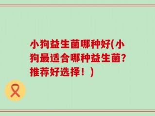 小狗益生菌哪种好(小狗最适合哪种益生菌？推荐好选择！)