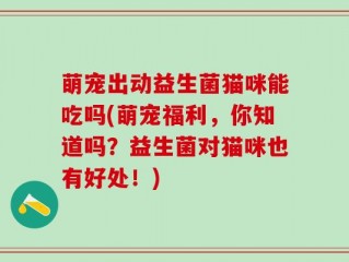 萌宠出动益生菌猫咪能吃吗(萌宠福利，你知道吗？益生菌对猫咪也有好处！)