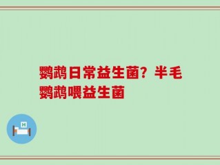 鹦鹉日常益生菌？半毛鹦鹉喂益生菌