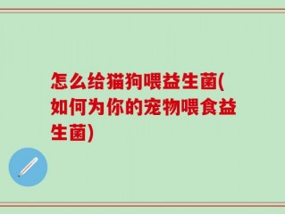 怎么给猫狗喂益生菌(如何为你的宠物喂食益生菌)