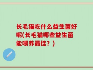 长毛猫吃什么益生菌好呢(长毛猫哪些益生菌能喂养最佳？)