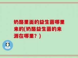 奶酪里面的益生菌哪里来的(奶酪益生菌的来源在哪里？)