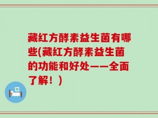 藏红方酵素益生菌有哪些(藏红方酵素益生菌的功能和好处——全面了解！)