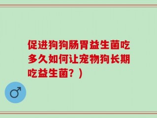 促进狗狗肠胃益生菌吃多久如何让宠物狗长期吃益生菌？)