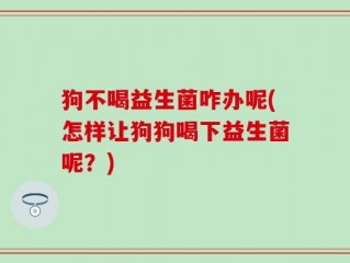 狗不喝益生菌咋办呢(怎样让狗狗喝下益生菌呢？)