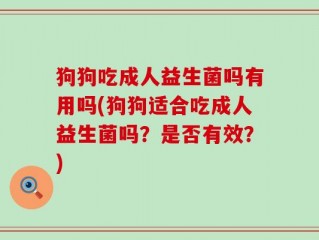 狗狗吃成人益生菌吗有用吗(狗狗适合吃成人益生菌吗？是否有效？)