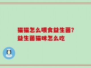 猫猫怎么喂食益生菌？益生菌猫咪怎么吃