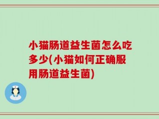 小猫肠道益生菌怎么吃多少(小猫如何正确服用肠道益生菌)