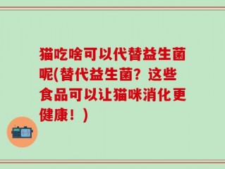 猫吃啥可以代替益生菌呢(替代益生菌？这些食品可以让猫咪消化更健康！)