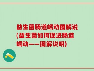 益生菌肠道蠕动图解说(益生菌如何促进肠道蠕动——图解说明)
