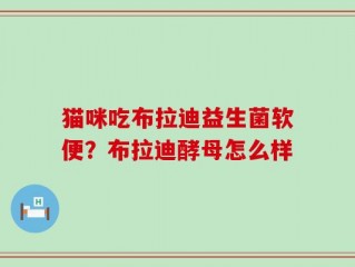 猫咪吃布拉迪益生菌软便？布拉迪酵母怎么样