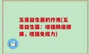 五莲益生菌的作用(五莲益生菌：增强肠道健康，增强免疫力)