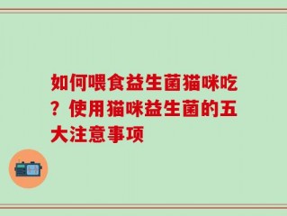 如何喂食益生菌猫咪吃？使用猫咪益生菌的五大注意事项