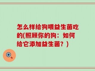 怎么样给狗喂益生菌吃的(照顾你的狗：如何给它添加益生菌？)