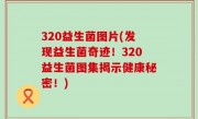 320益生菌图片(发现益生菌奇迹！320益生菌图集揭示健康秘密！)