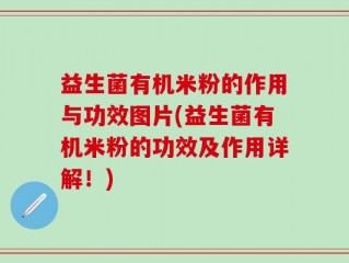益生菌有机米粉的作用与功效图片(益生菌有机米粉的功效及作用详解！)