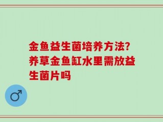 金鱼益生菌培养方法？养草金鱼缸水里需放益生菌片吗