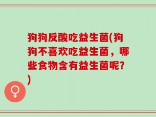狗狗反酸吃益生菌(狗狗不喜欢吃益生菌，哪些食物含有益生菌呢？)