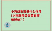 小狗益生菌是什么作用(小狗服用益生菌有哪些好处？)