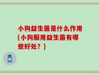 小狗益生菌是什么作用(小狗服用益生菌有哪些好处？)