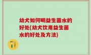 幼犬如何喝益生菌水的好处(幼犬饮用益生菌水的好处及方法)