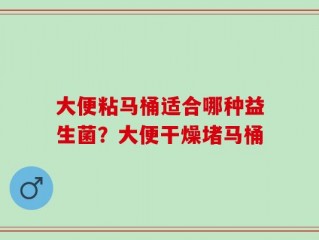 大便粘马桶适合哪种益生菌？大便干燥堵马桶
