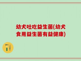 幼犬吐吃益生菌(幼犬食用益生菌有益健康)