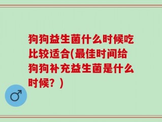 狗狗益生菌什么时候吃比较适合(最佳时间给狗狗补充益生菌是什么时候？)