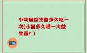 小幼猫益生菌多久吃一次(小猫多久喂一次益生菌？)