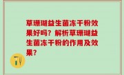 草珊瑚益生菌冻干粉效果好吗？解析草珊瑚益生菌冻干粉的作用及效果？