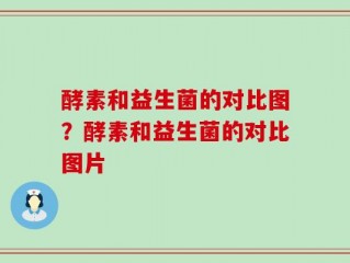 酵素和益生菌的对比图？酵素和益生菌的对比图片