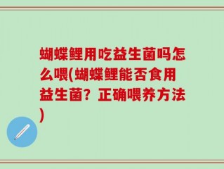 蝴蝶鲤用吃益生菌吗怎么喂(蝴蝶鲤能否食用益生菌？正确喂养方法)