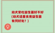幼犬常吃益生菌好不好(幼犬适量食用益生菌有何好处？)