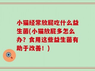 小猫经常放屁吃什么益生菌(小猫放屁多怎么办？食用这些益生菌有助于改善！)