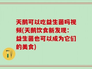 天鹅可以吃益生菌吗视频(天鹅饮食新发现：益生菌也可以成为它们的美食)