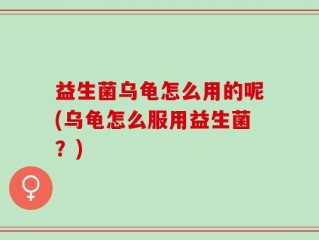 益生菌乌龟怎么用的呢(乌龟怎么服用益生菌？)