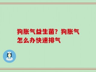 狗胀气益生菌？狗胀气怎么办快速排气