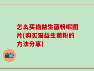 怎么买猫益生菌粉呢图片(购买猫益生菌粉的方法分享)
