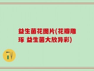 益生菌花图片(花瓣雕琢 益生菌大放异彩)