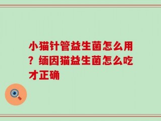 小猫针管益生菌怎么用？缅因猫益生菌怎么吃才正确