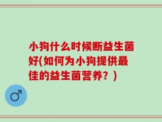 小狗什么时候断益生菌好(如何为小狗提供最佳的益生菌营养？)