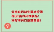 云南白药益生菌冰柠薄荷(云南白药推新品：冰柠薄荷口感益生菌)