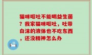 猫咪呕吐不能喝益生菌？我家猫咪呕吐，吐带白沫的液体也不吃东西，还没精神怎么办