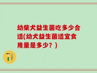 幼柴犬益生菌吃多少合适(幼犬益生菌适宜食用量是多少？)