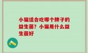 小猫适合吃哪个牌子的益生菌？小猫用什么益生菌好