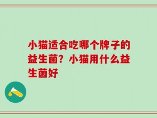 小猫适合吃哪个牌子的益生菌？小猫用什么益生菌好