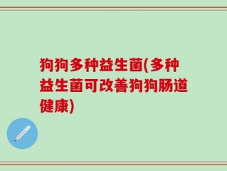 狗狗多种益生菌(多种益生菌可改善狗狗肠道健康)
