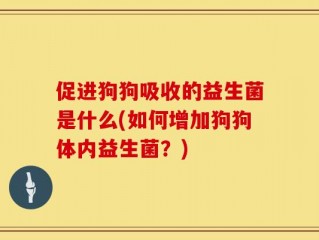 促进狗狗吸收的益生菌是什么(如何增加狗狗体内益生菌？)