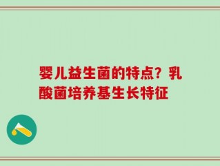 婴儿益生菌的特点？乳酸菌培养基生长特征